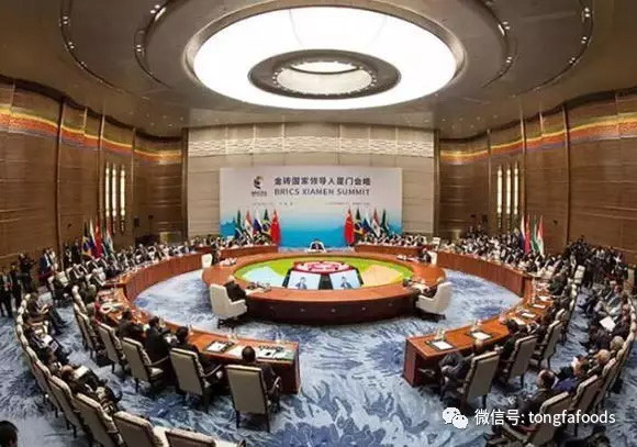 抖圈(中国)为du而生